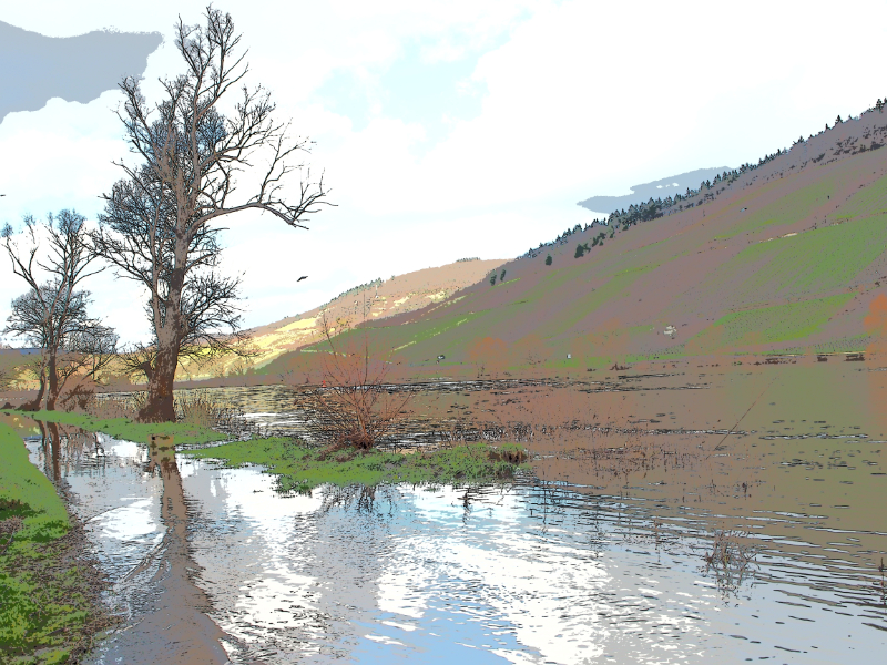 Mosel - Frühjahrsüberschwemmung